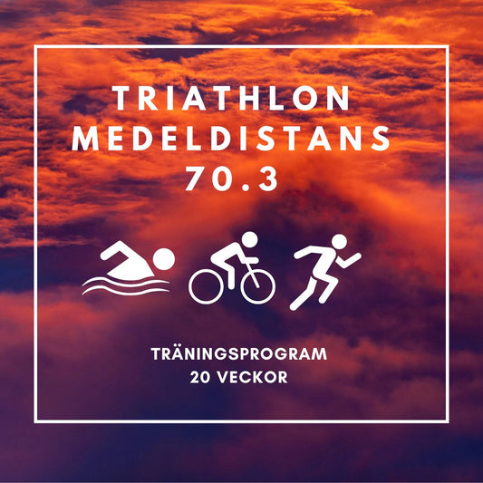 SWE Middle Distance 70.3 Triathlon 20 week training program